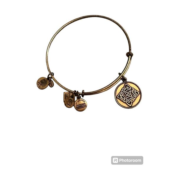 ALEX AND ANI Celtic Knot Charm Bangle in Rafaelian Gold Finish - Picture 2 of 5